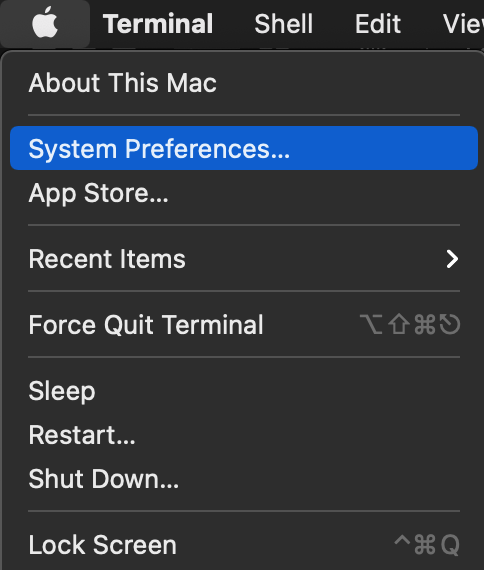 navigate to system preferences